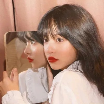 赖猫的狮子倒影 封面