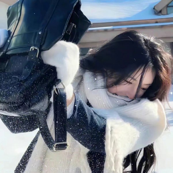 奎师那与伊人 封面